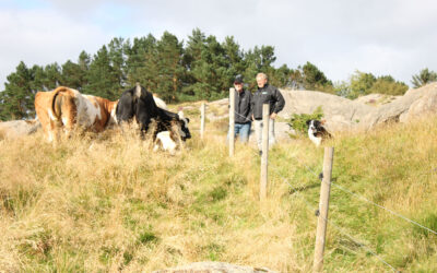Lavere kost og mindre arbeid